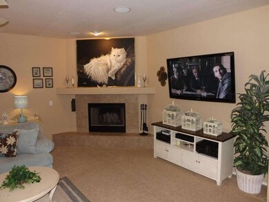 LARGE FIREPLACE IN FAMILY ROOM!