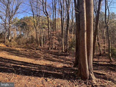 5260 Sheridan Point Rd, Prince Frederick, MD 20678 - photo 4