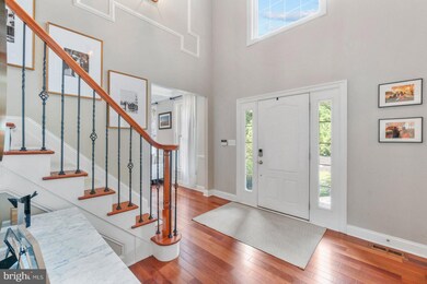 6904 N Charles St, Towson, MD 21204 - photo 6