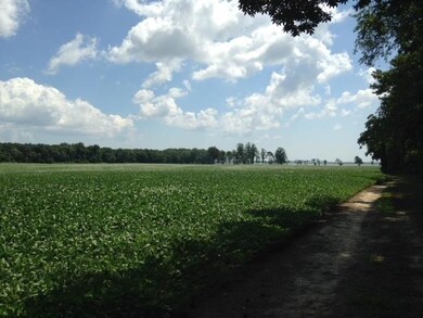 Start of Farm Rd.