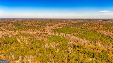 3201 Tommy Lee Cook Rd, Newnan, GA 30263 - photo 4