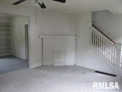 209 E Dayton St, Harrisburg, IL 62946 - photo 4