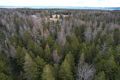 Lot 51 Route 1, Pleasant Point, ME 04667 - photo 7