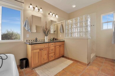 Large Master Suite Walk-In Shower