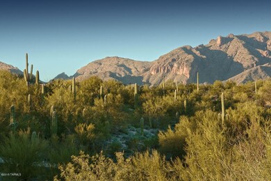 Incredible Mountain Views