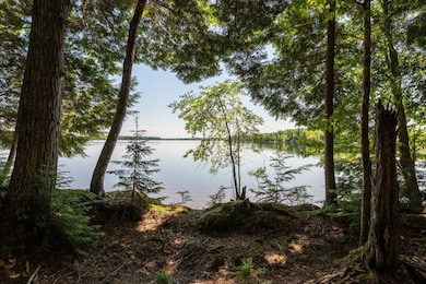 lot 5 Black Cat Point, Princeton, ME 04668 - photo 5