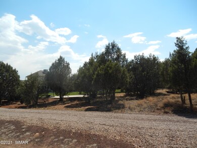 0 6th Place, Show Low, AZ 85901 - photo 2