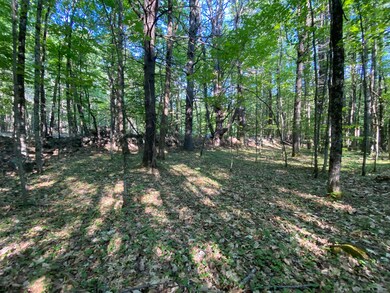 00 Stony Brook Dr, Limerick, ME 04048 - photo 3