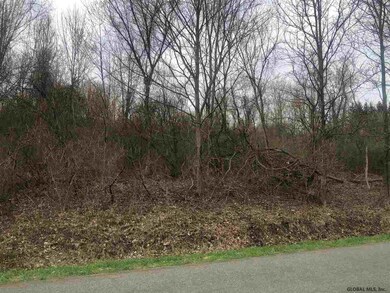 89 Bald Mountain Rd, Troy, NY 12180 - photo 5