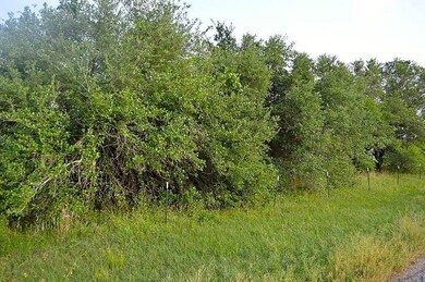 14515 Tierra Grande Dr, Needville, TX 77461 - photo 4