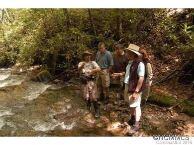 Fly Fishing
