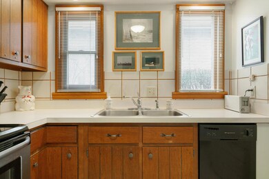 Kitchen Sink & Windows