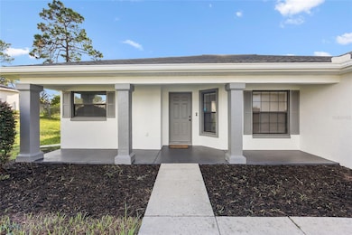 5041 SW 104th Loop, Ocala, FL 34476 - photo 6