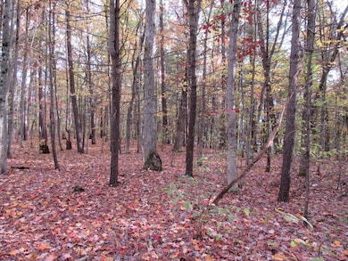 4015 Wilson Beach Rd, Twin Lake, MI 49457 - photo 4