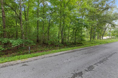 0A Alice Boynton Rd, Manchester, TN 37355 - photo 2