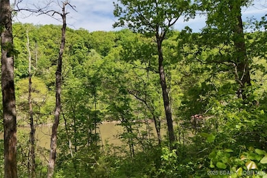 Tract B Lake Forest Estates Rd, Stover, MO 65078 - photo 3