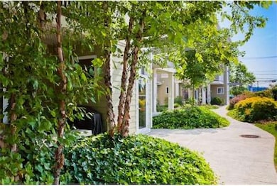 27 Wheeler St unit 222, Cambridge, MA 02138 - photo 3