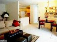 216 Park Terrace Ct SE unit 100, Vienna, VA 22180 - photo 2