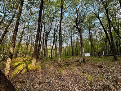 14821 Musky Bay Rd, Rusk, WI 54728 - photo 2