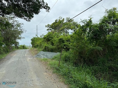 00637 Road Pr #368 Bo MacHuchal Sabana Grande, Sabana Grande, PR 00637 - photo 5