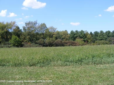 0 Marshall Rd, Charlotte, MI 48813 - photo 7