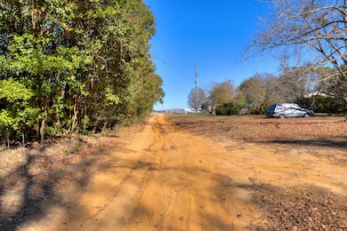 392 Brunswick Rd, Sumter, SC 29153 - photo 5