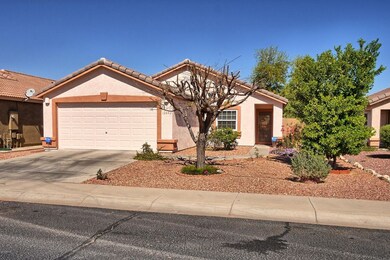 Bloomfield 12642 (33)