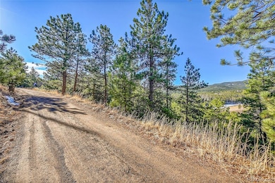 27292 Ridge Trail, Conifer, CO 80433 - photo 3