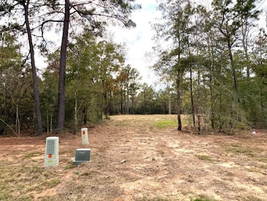 7629 Trinity Pines Dr, Montgomery, TX 77316 - photo 6