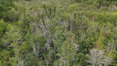 0 Giles Rd unit LotWP003 24182709, Linden, NC 28356 - photo 7