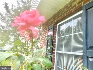 104 Meadowbrook Dr, Stephens City, VA 22655 - photo 3