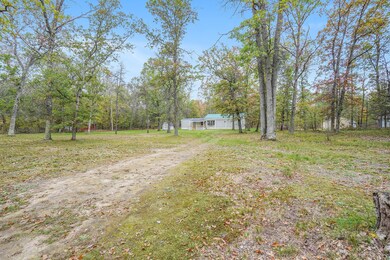 1061 E Lincoln St, Bitely, MI 49309 - photo 3