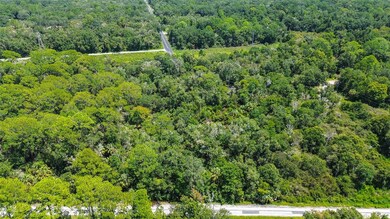 8683 N Bellflower Way, Crystal River, FL 34428 - photo 4