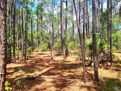 TBD Tropical Dr, Eustis, FL 32726 - photo 6