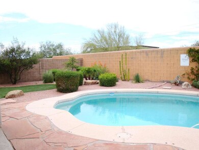 Pool-Backyard