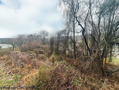 Lots 9 & 10 Ryan Rd, Fairmont, WV 26554 - photo 2