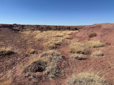 Tbd Rincon Valley Rd, Saint Johns, AZ 85936 - photo 5