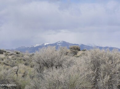 06-0361-19 Dutch Flat Rd, Winnemucca, NV 89445 - photo 3