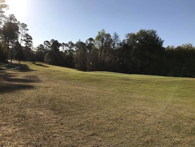 1819 River Pointe Dr, Albany, GA 31701 - photo 3