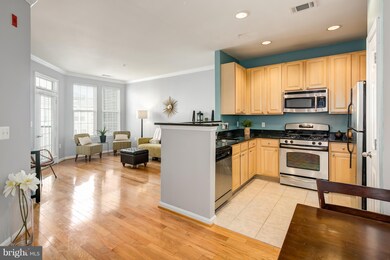 The Grove At Arlington unit 308, Arlington, VA 22206 - photo 5
