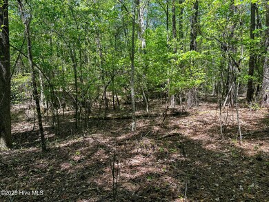 0 S Mcneill St, Carthage, NC 28327 - photo 7