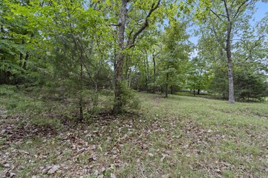 Lots 27&28 Wildflower, Kimberling City, MO 65686 - photo 7
