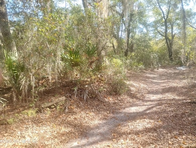 5812 Bryce St, Keystone Heights, FL 32656 - photo 2