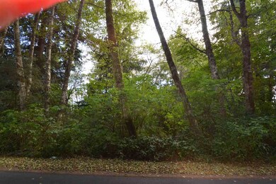 0 Pennsylvania St unit 709527, Bay City, OR 97107 - photo 3