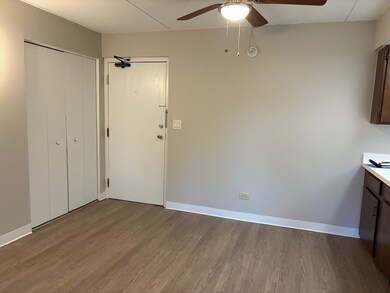 Entrance and dining area