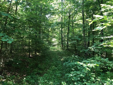 Riding Trails