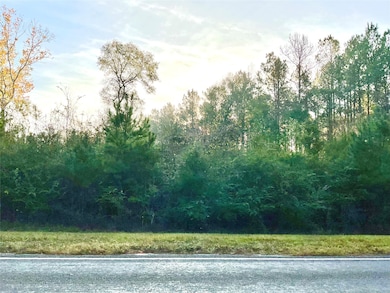 000 Hwy 92s E, Spurger, TX 77660 - photo 7