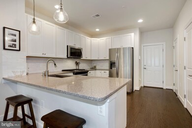 1216 Main Line Blvd unit 101, Alexandria, VA 22301 - photo 2