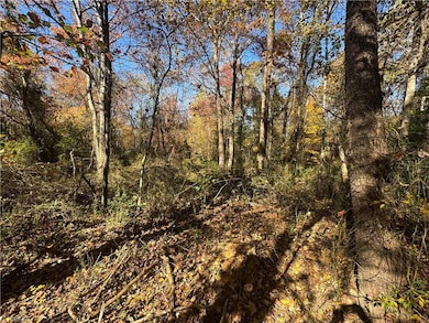 00 Day Dr, Hamptonville, NC 27020 - photo 3