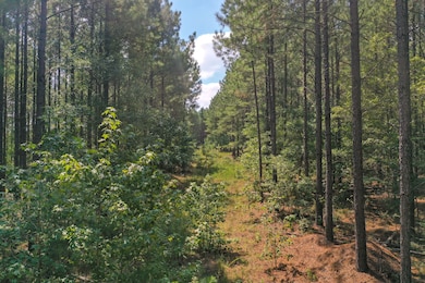 0 Old Windmill Rd unit 24711444, Ridgeway, SC 29130 - photo 7